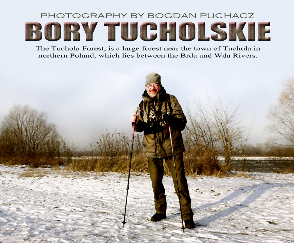 001 BORY TUCHOLSKIE