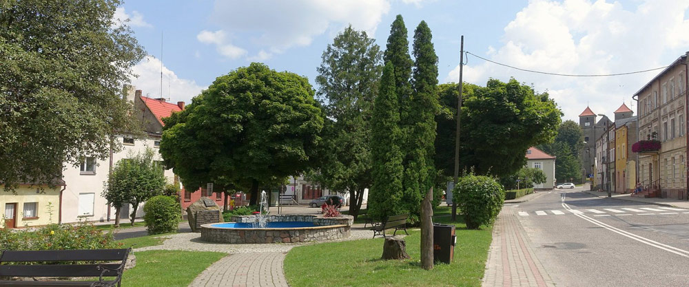 02c Gorzno COM