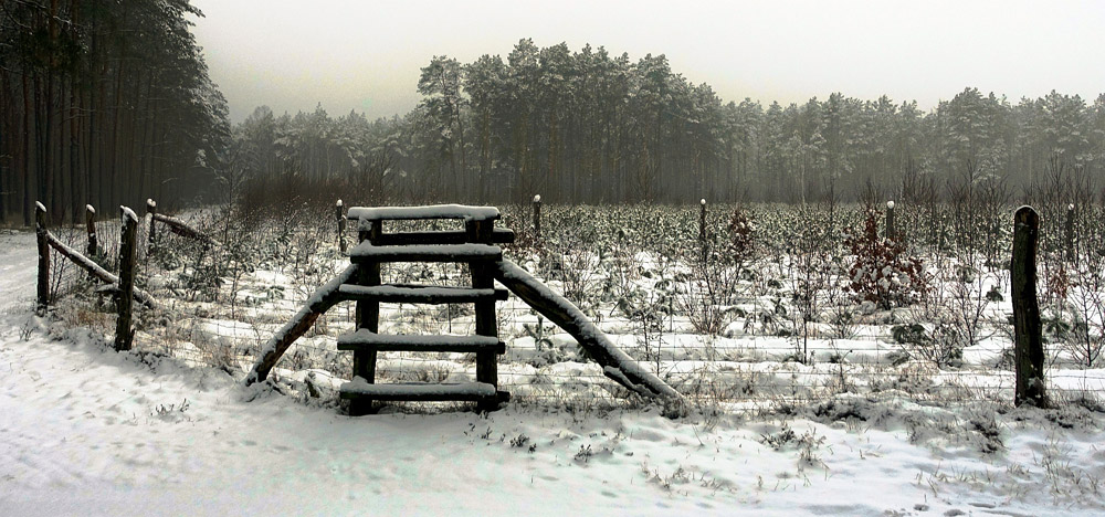 37a pierwszy snieg oPoranku ECOM