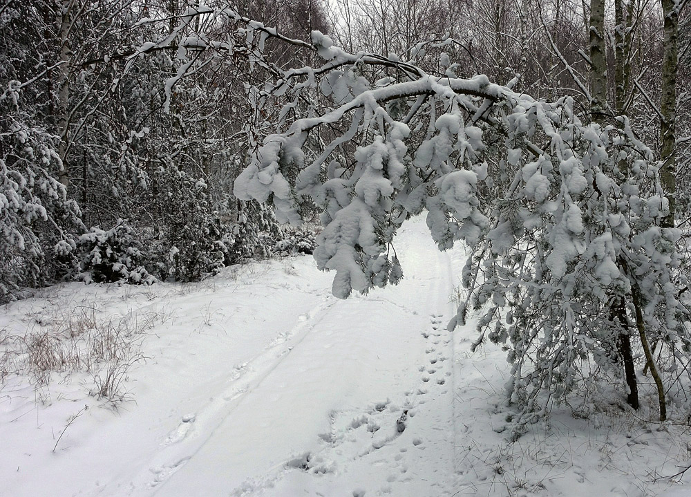 39a pierwszy snieg oPoranku ECOM