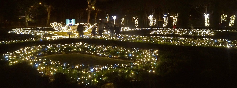 4 22b Park swDekoracjeCOM