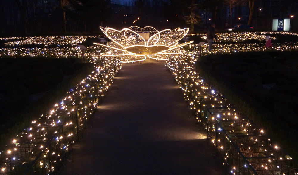 6 84 park DoracoCOM