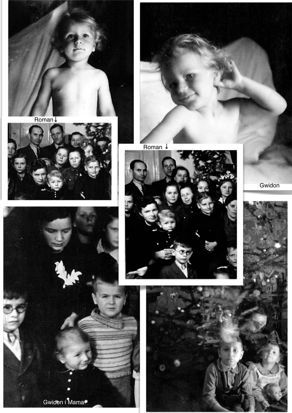 ALBUM RODOWY 256 R COM