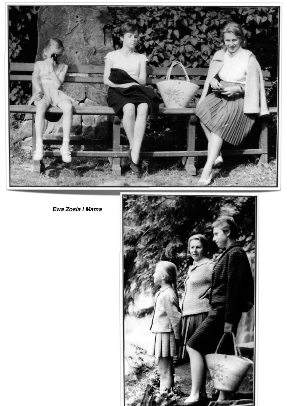 ALBUM RODOWY 421 GCOM