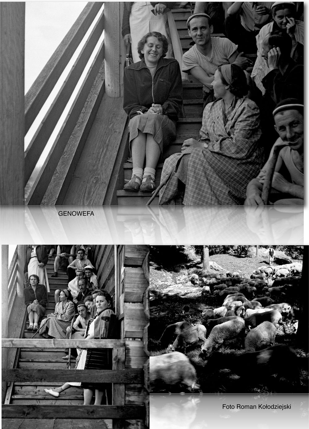 ALBUM ROMANCOM 598
