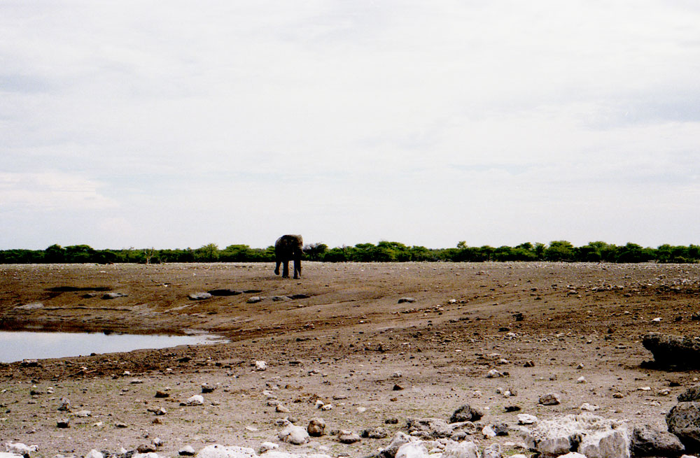 ETOSHA 0011 com