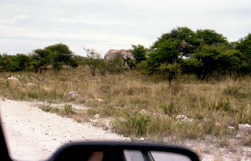 ETOSHA 0012 com
