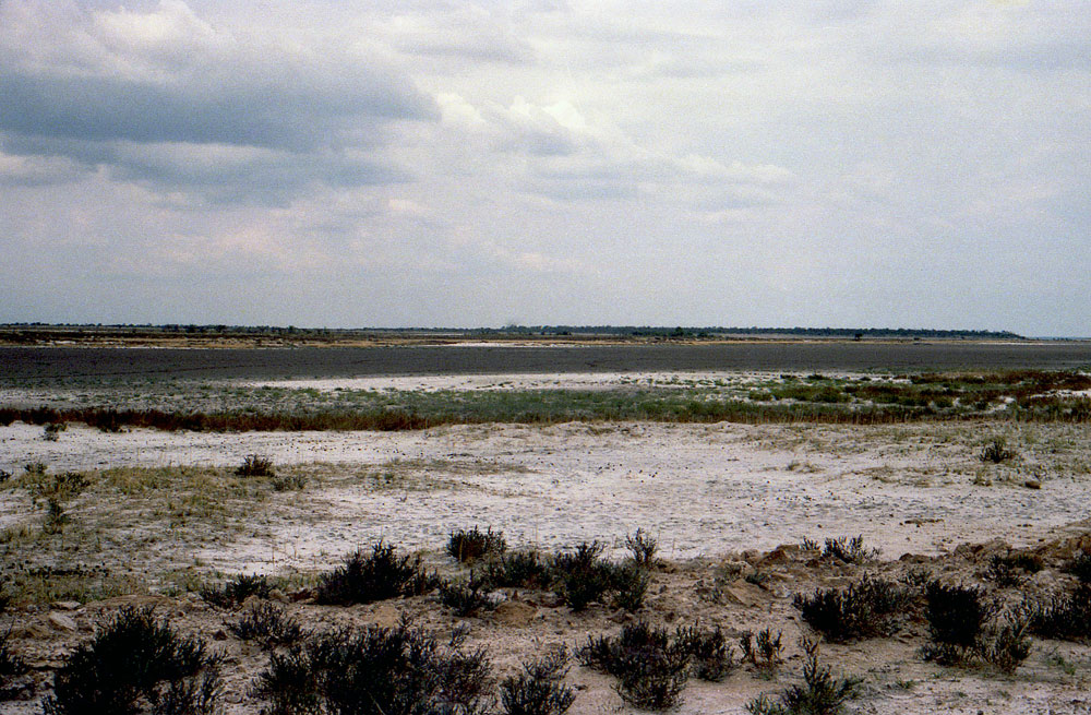 ETOSHA 002 com