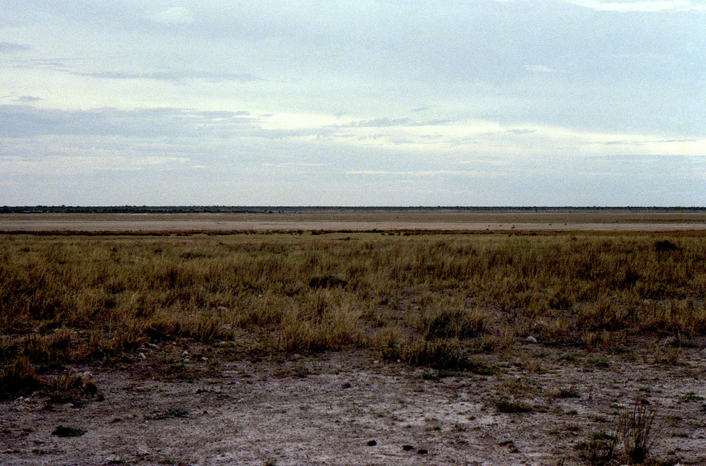 ETOSHA 009 com