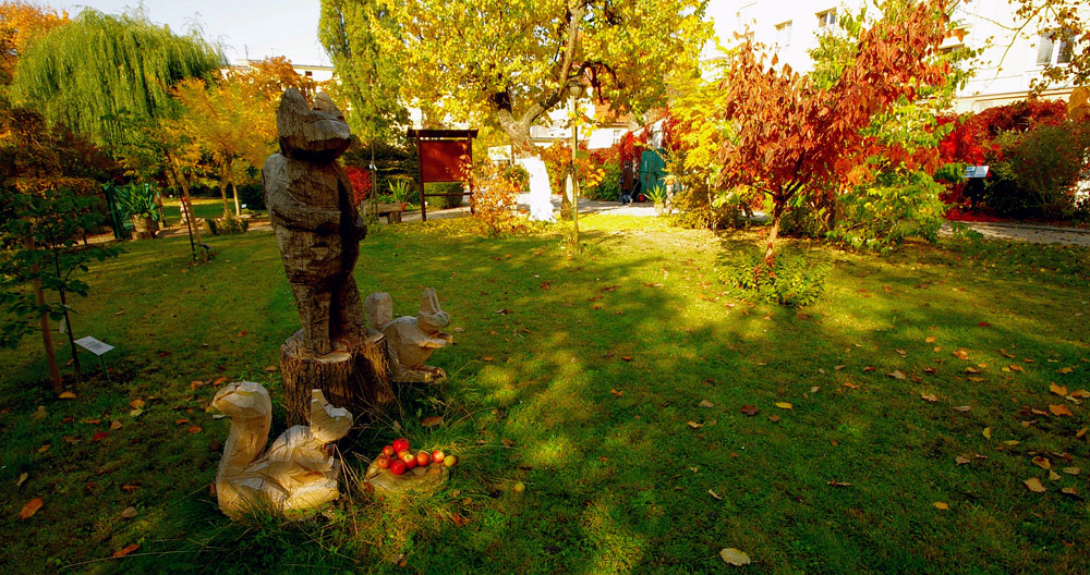 GOLDEN AUTUMN14