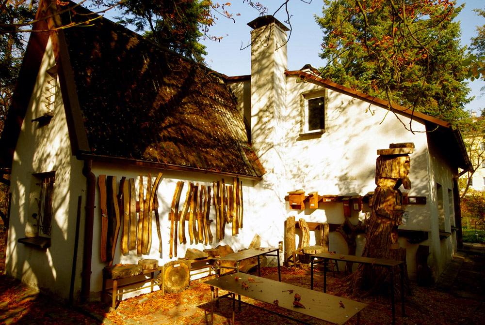 GOLDEN AUTUMN6