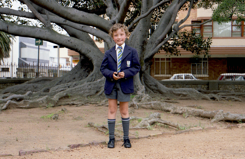 GREENWOOD PRIMARY275 kosz COM
