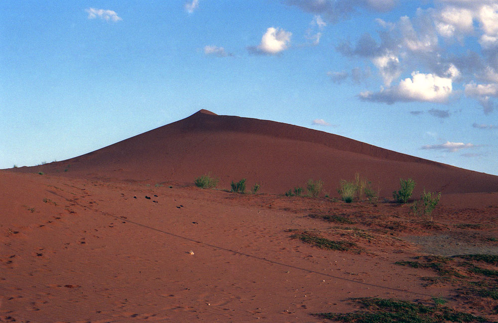 KALAHARI 29com