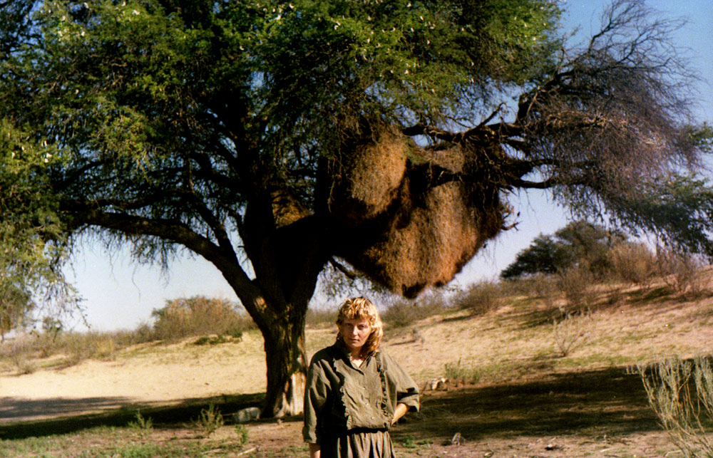 KALAHARI 35com
