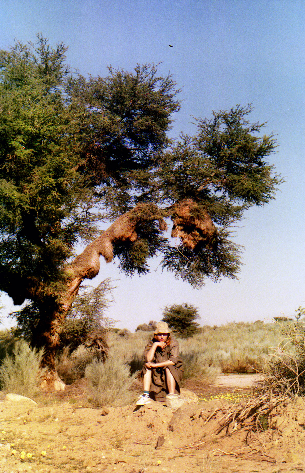 KALAHARI 37com
