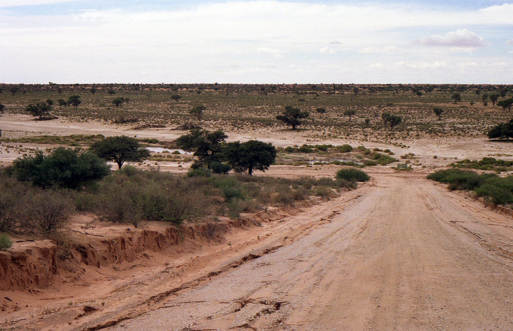 KALAHARI 49com