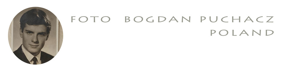 LOGO B COM