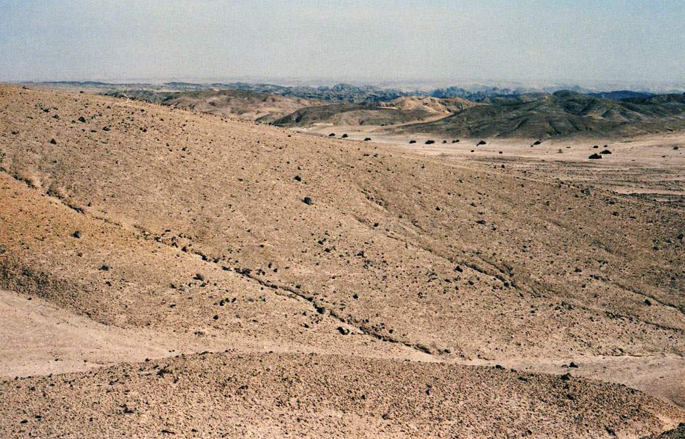 N DESERT004com