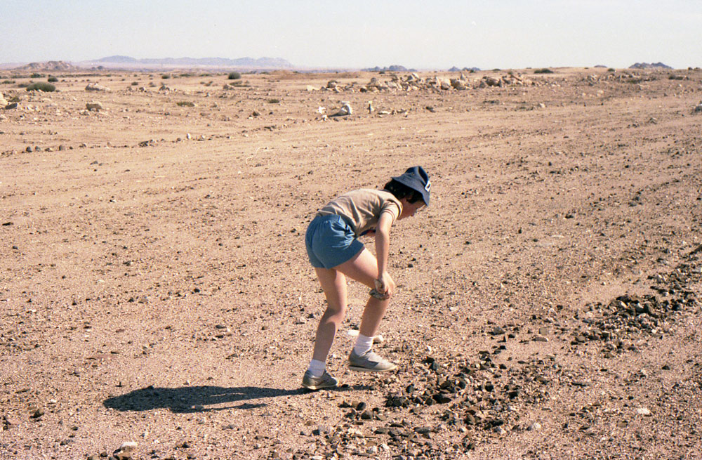 N DESERT18COM