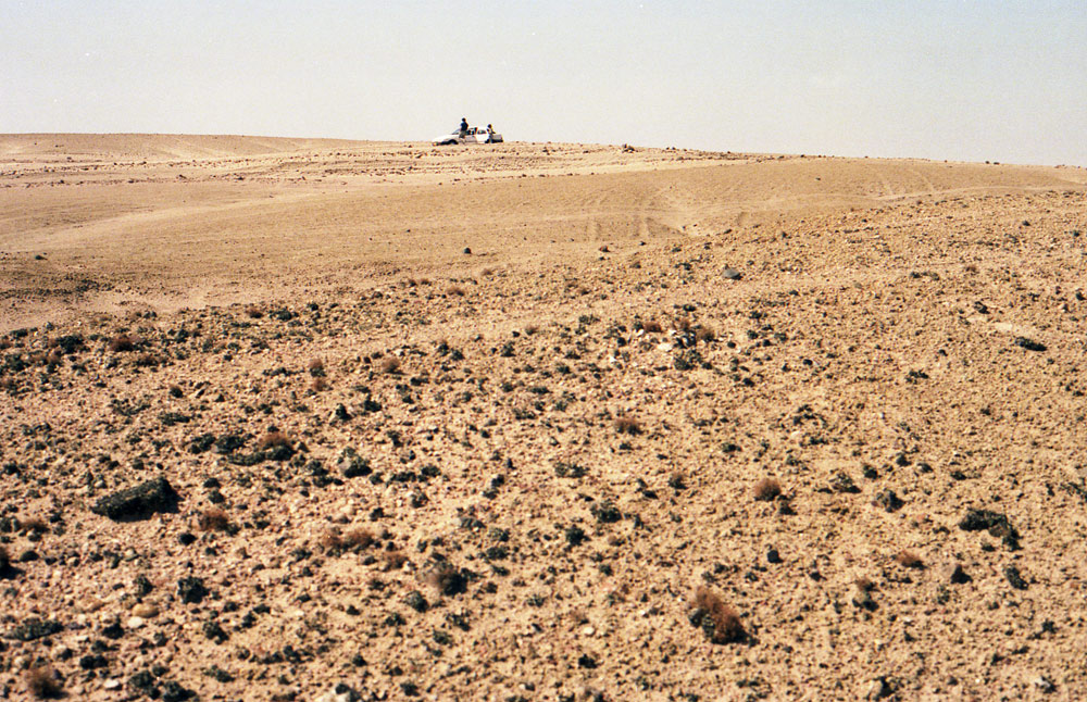 N DESERT20COM