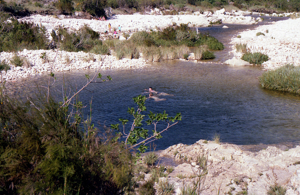 NR010 kosz 17