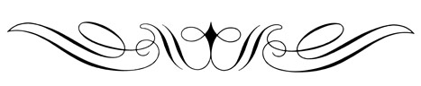 ORNAMENT ANI com