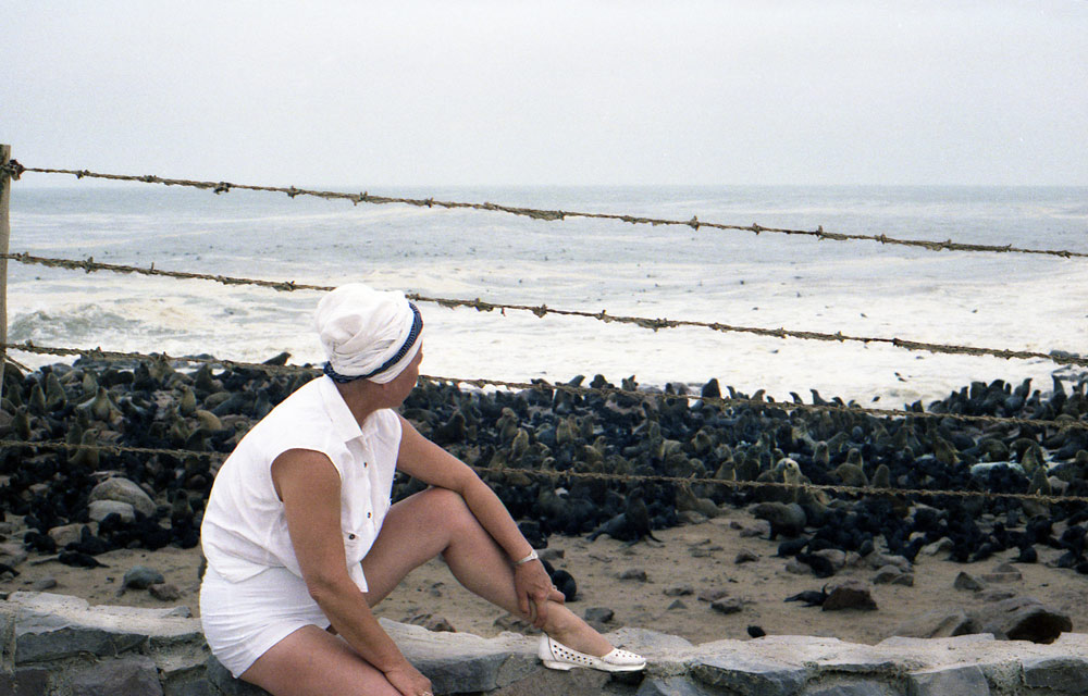 SEALS14com
