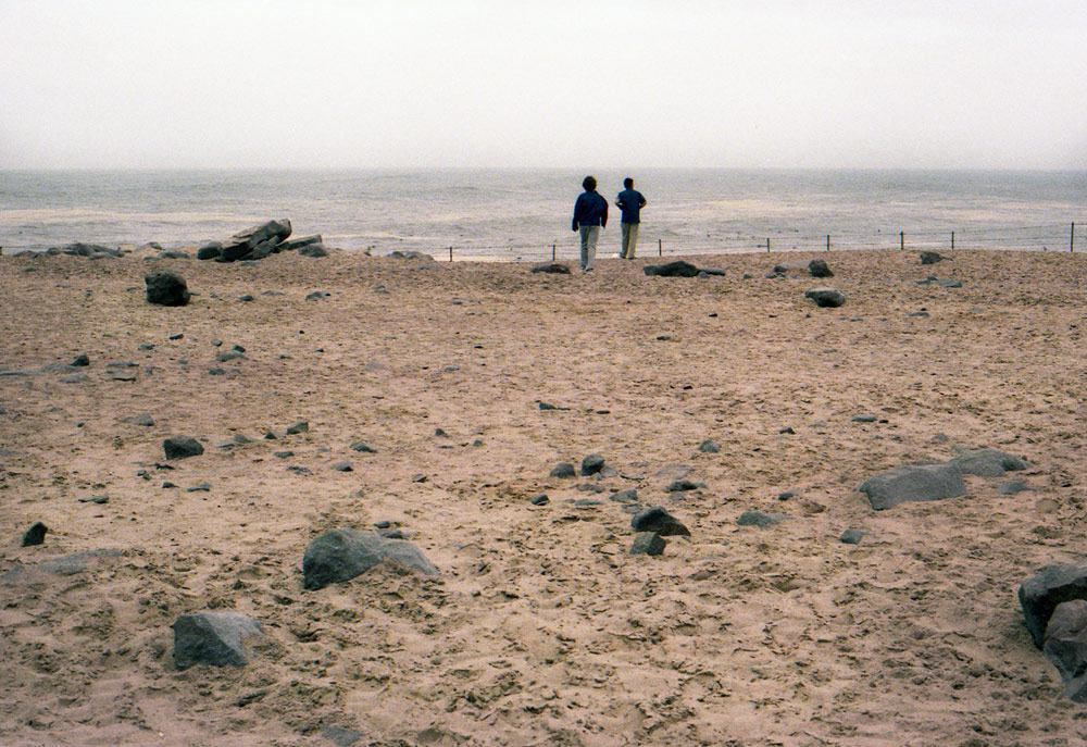 SEALS18com