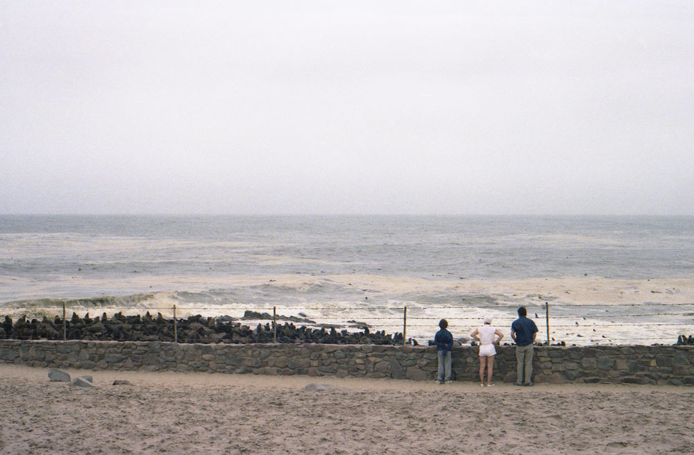 SEALS22com