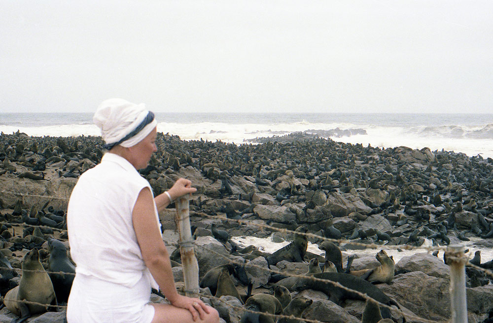SEALS8com
