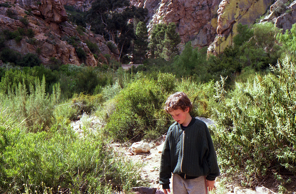 Swartberg Nature5