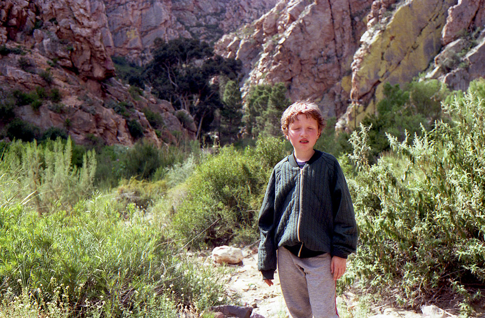 Swartberg Nature6