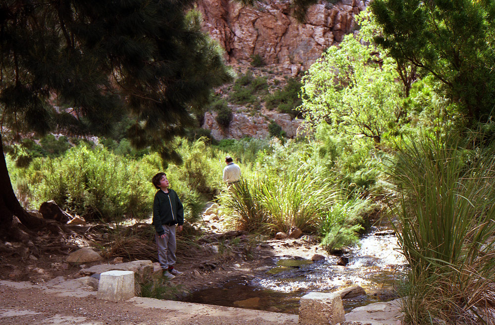 Swartberg Nature7