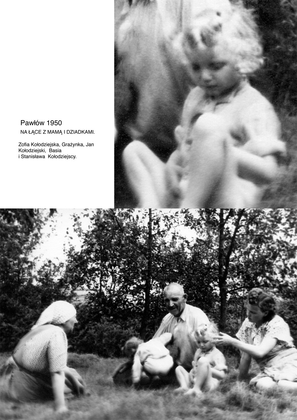 ALBUM RODOWY 186 z com