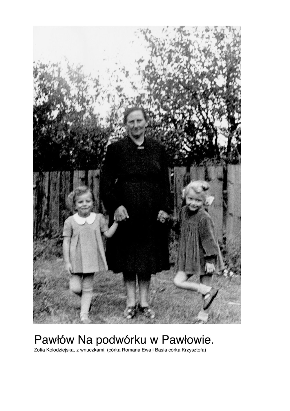ALBUM RODOWY 194 z com