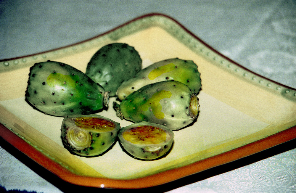 cacti