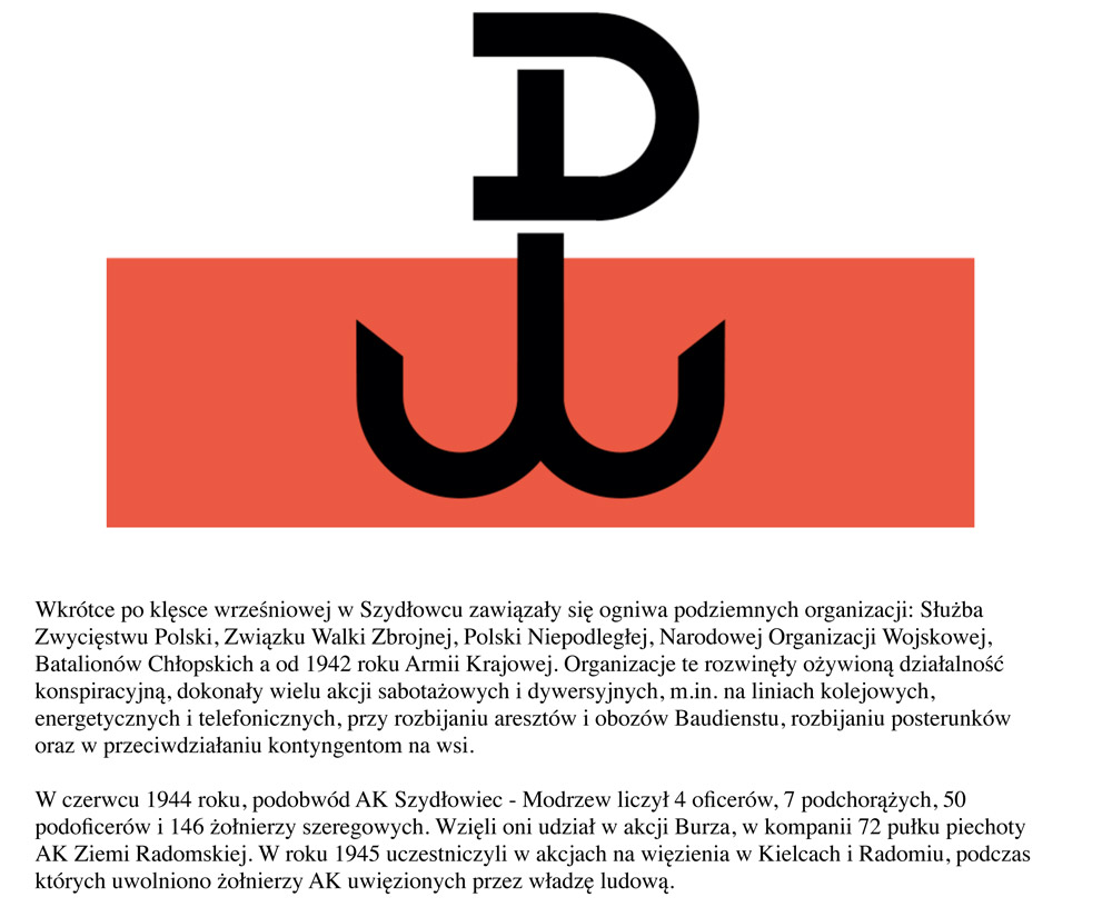 polska walczacacom